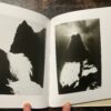 Kojima Ichiro Photographs (8)